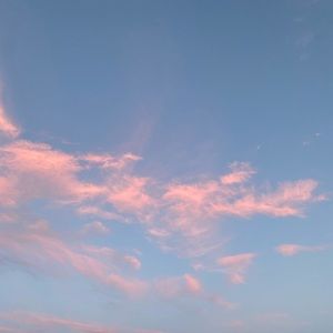 Meet your Posher, Daesha